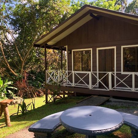 Hospedaje La Naciente Turrialba Exterior photo
