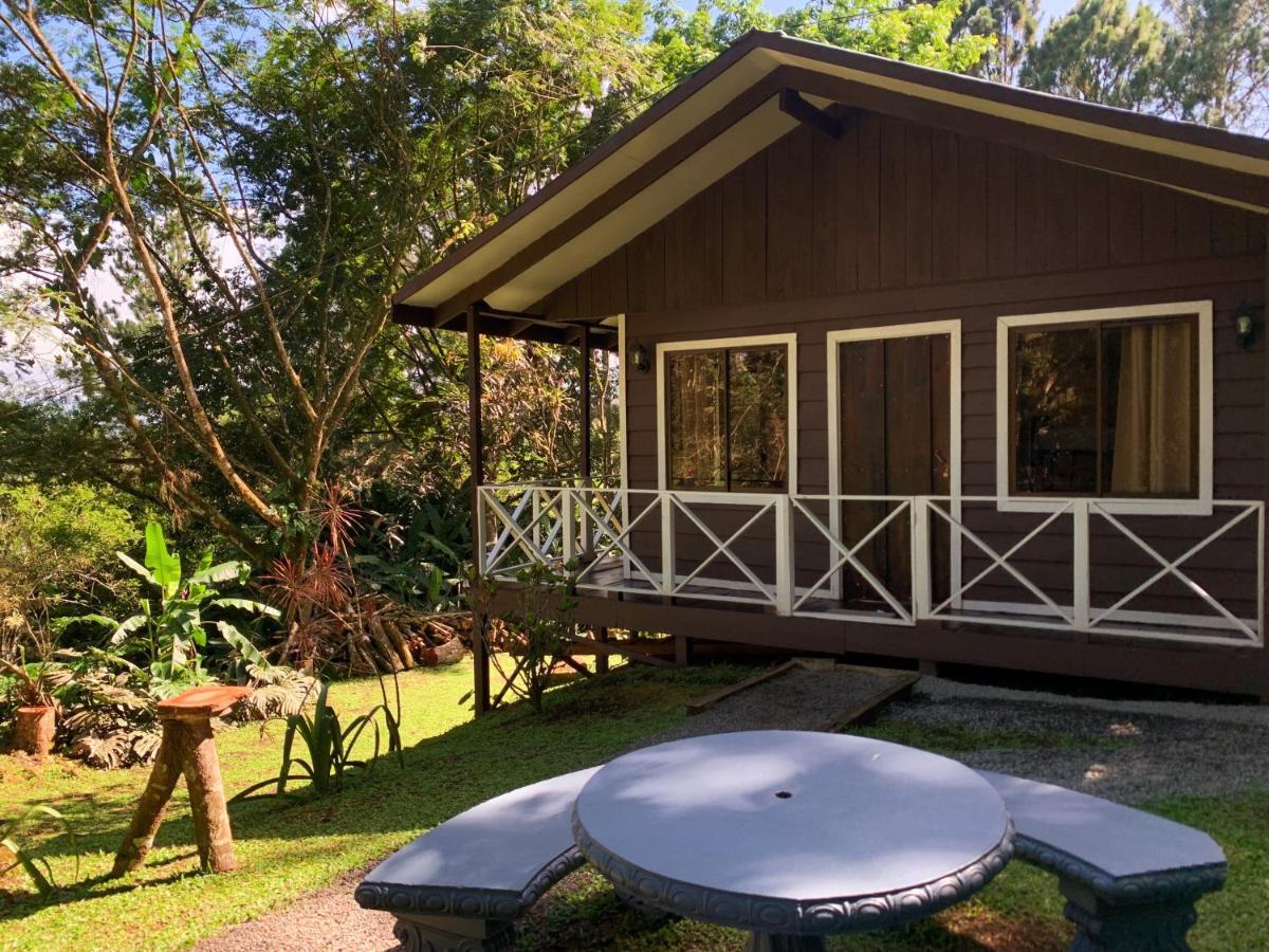 Hospedaje La Naciente Turrialba Exterior photo
