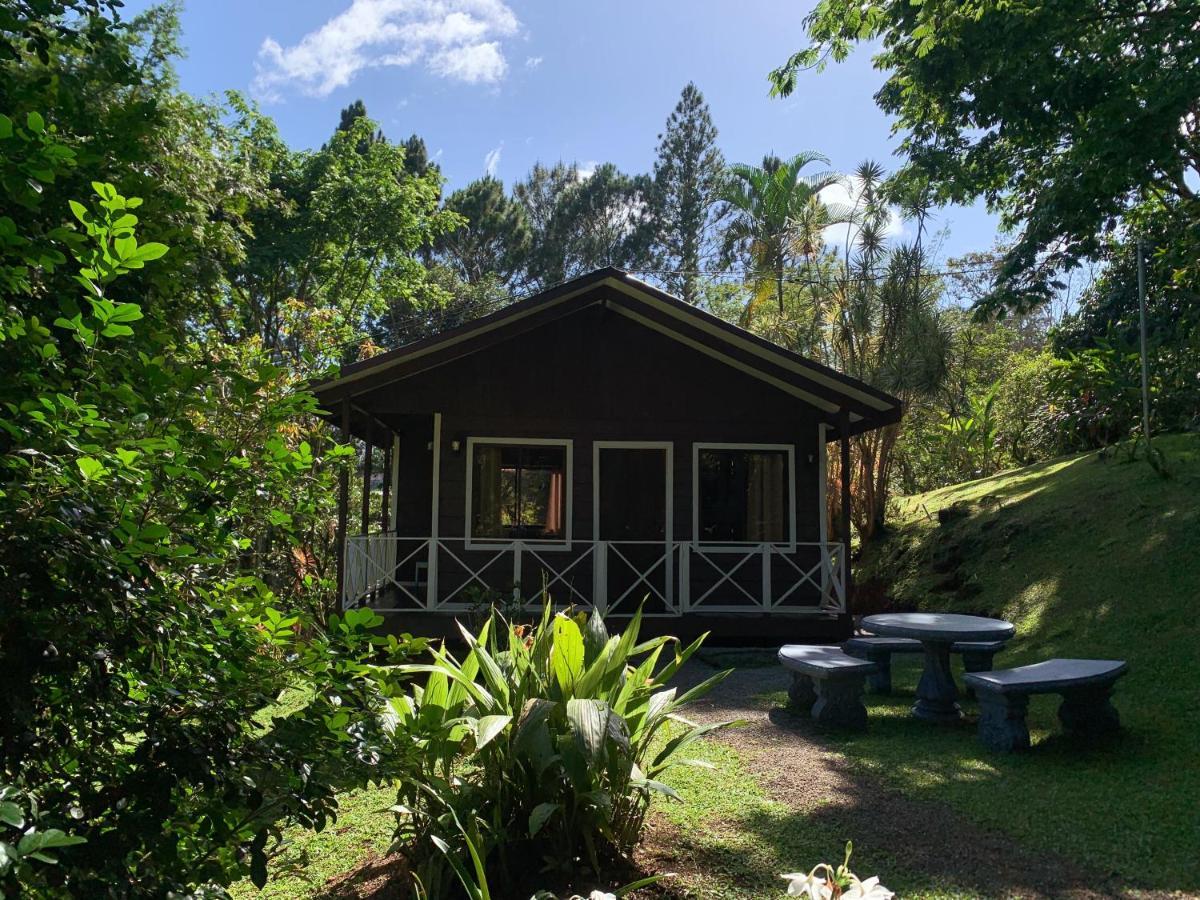 Hospedaje La Naciente Turrialba Exterior photo