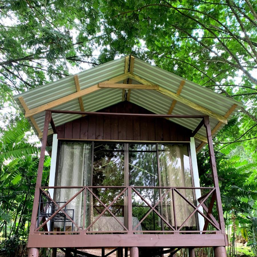 Hospedaje La Naciente Turrialba Exterior photo