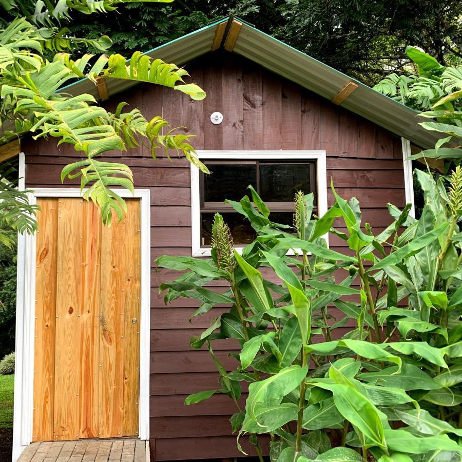 Hospedaje La Naciente Turrialba Exterior photo