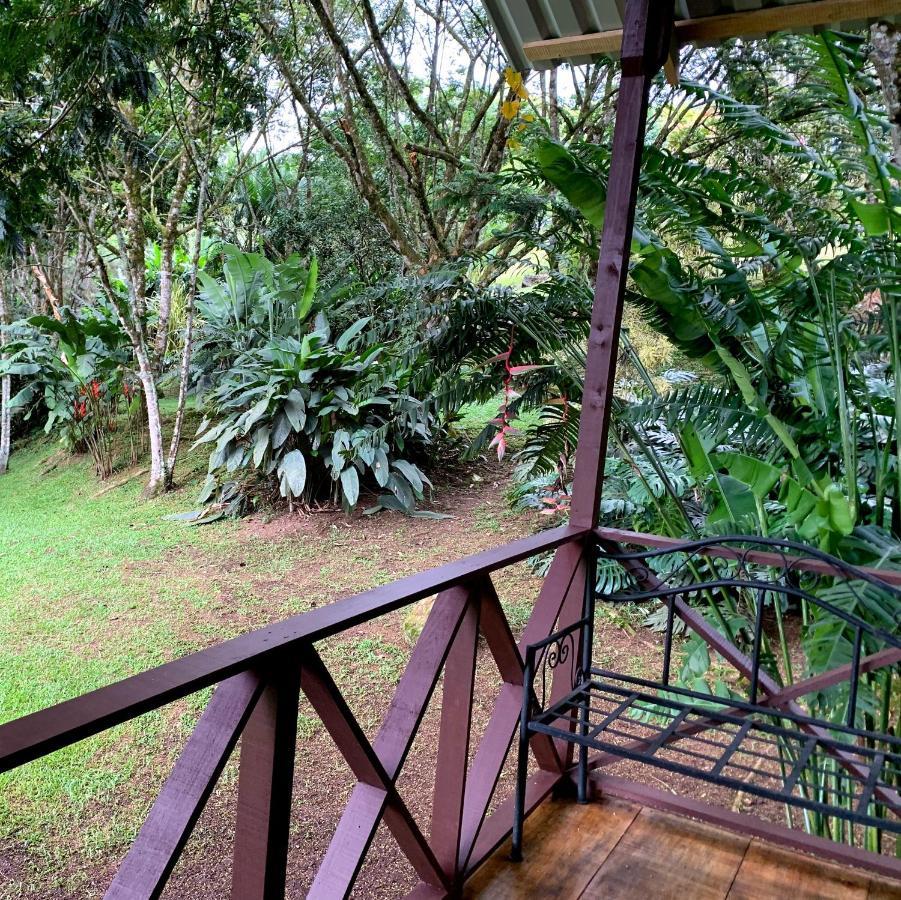 Hospedaje La Naciente Turrialba Exterior photo