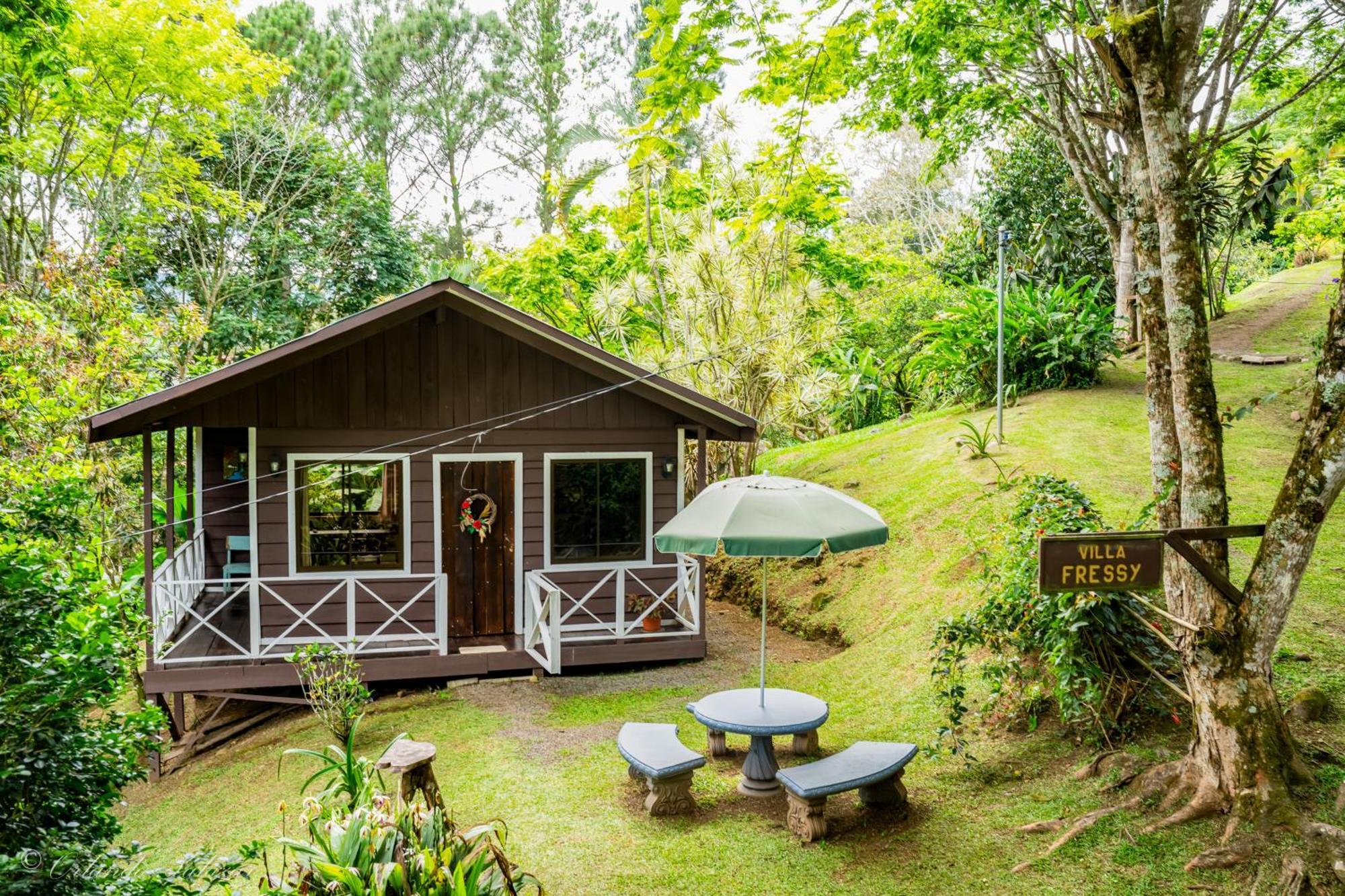 Hospedaje La Naciente Turrialba Exterior photo