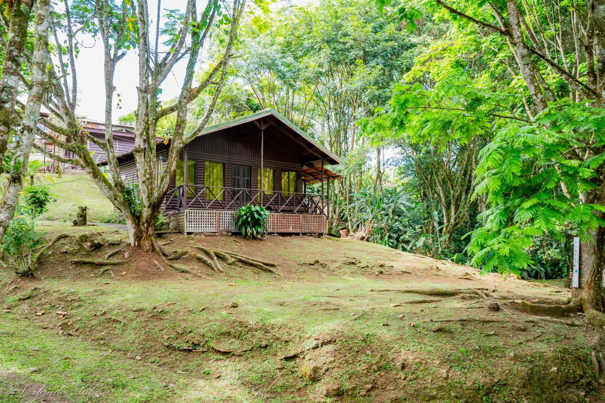 Hospedaje La Naciente Turrialba Exterior photo