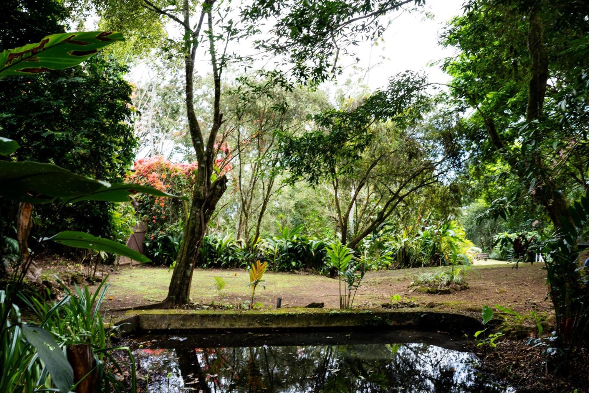 Hospedaje La Naciente Turrialba Exterior photo