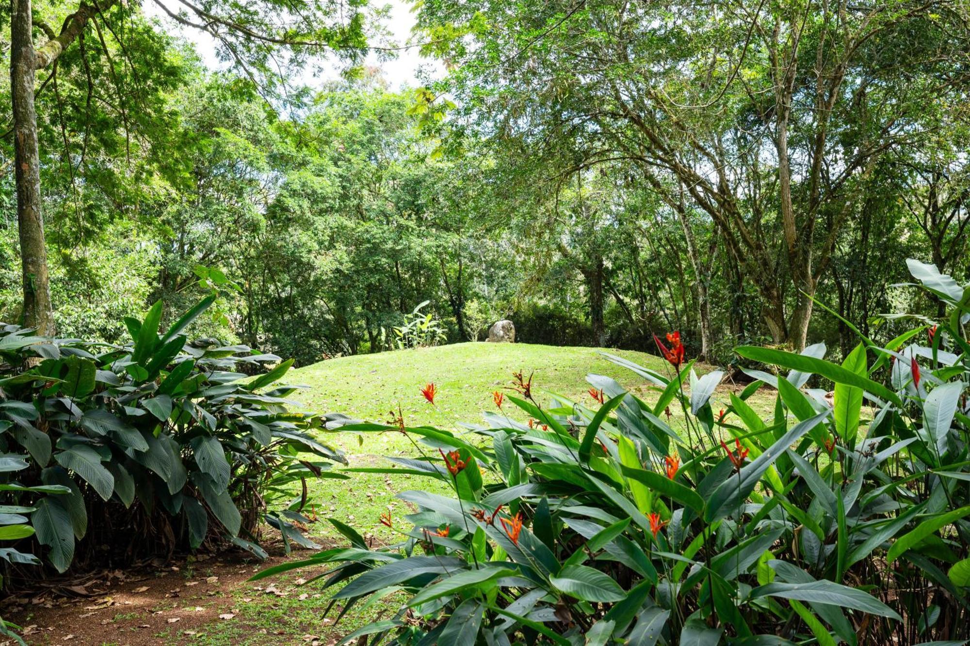 Hospedaje La Naciente Turrialba Exterior photo