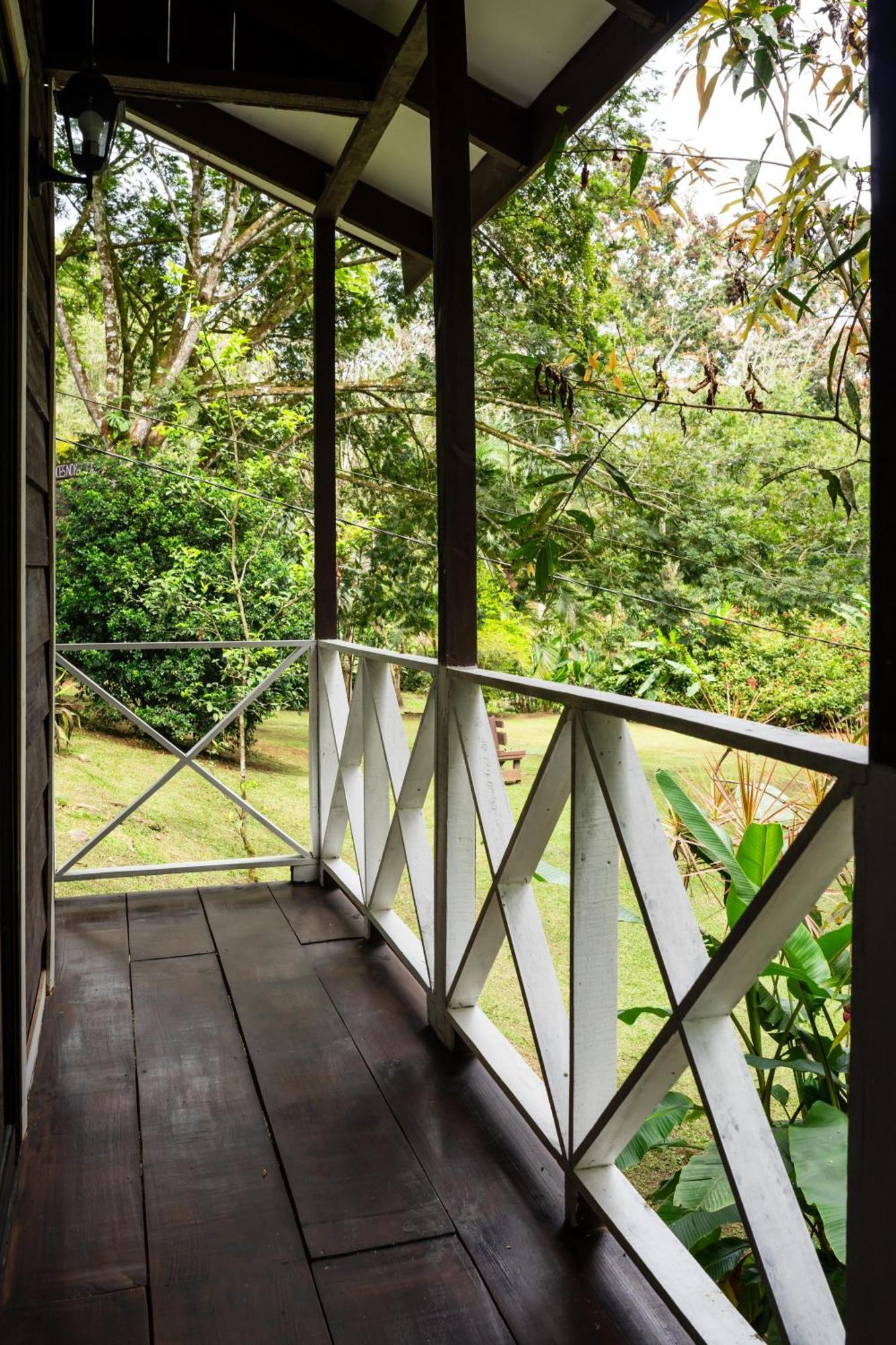 Hospedaje La Naciente Turrialba Exterior photo