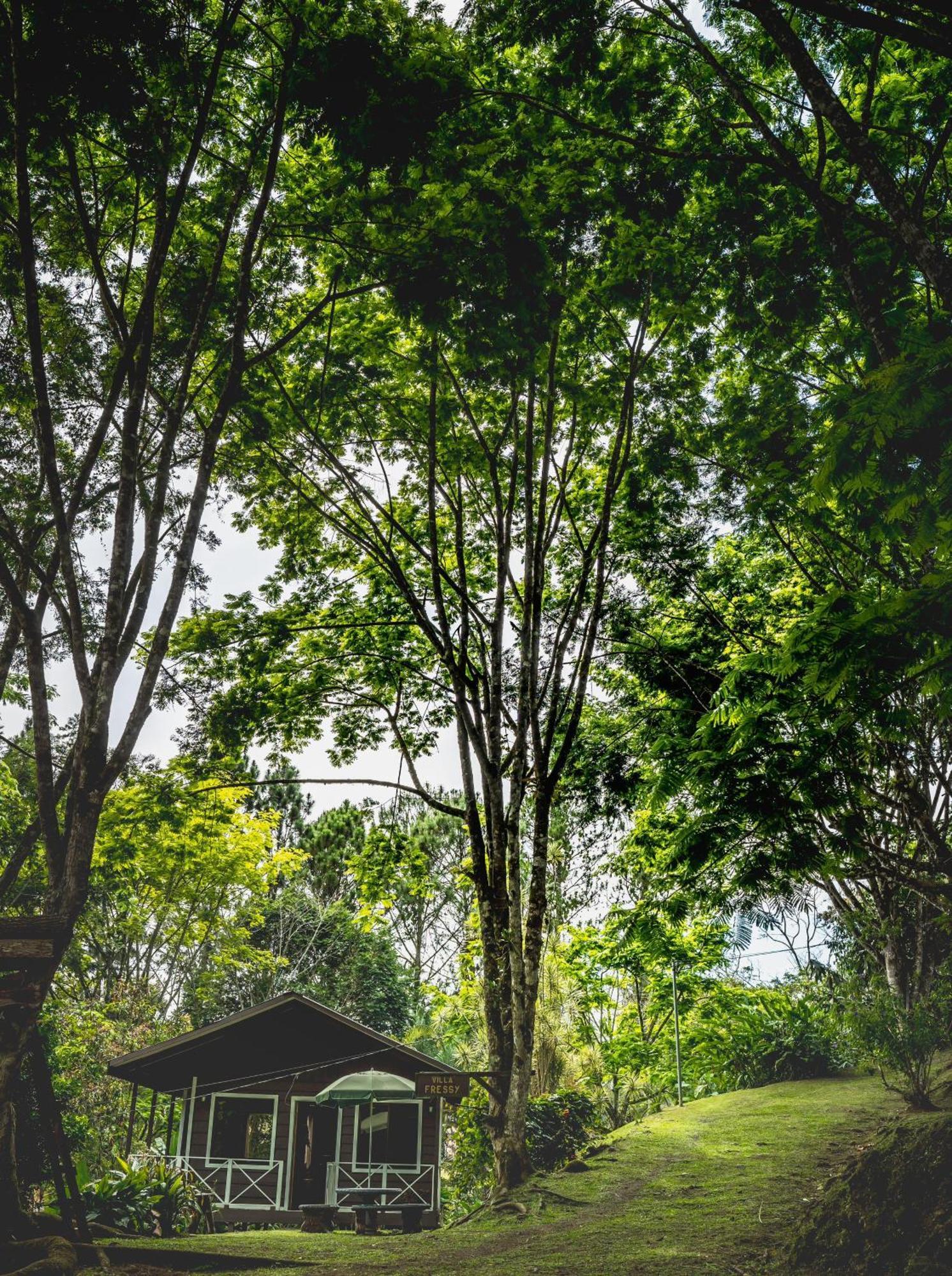 Hospedaje La Naciente Turrialba Exterior photo