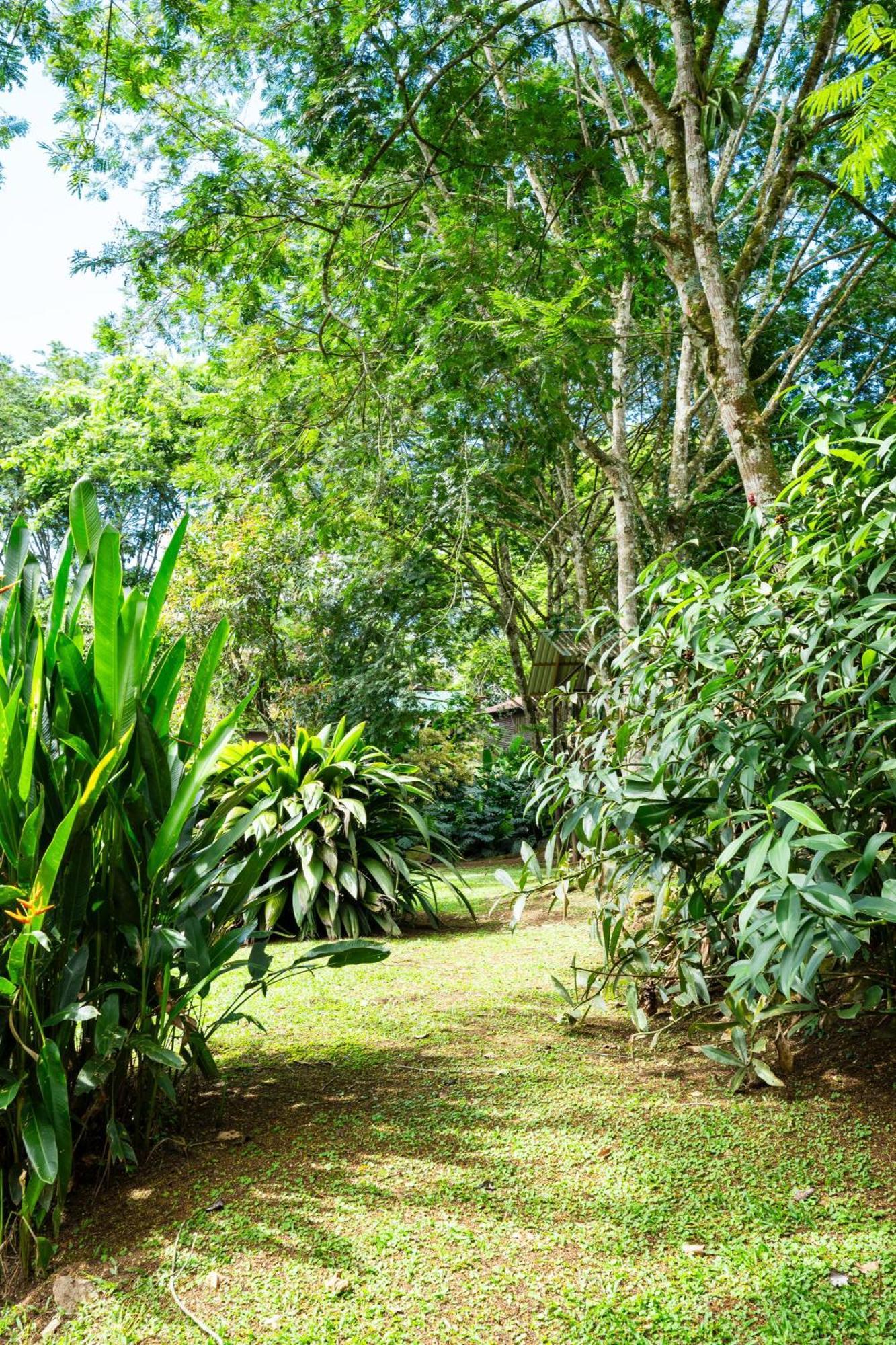 Hospedaje La Naciente Turrialba Exterior photo