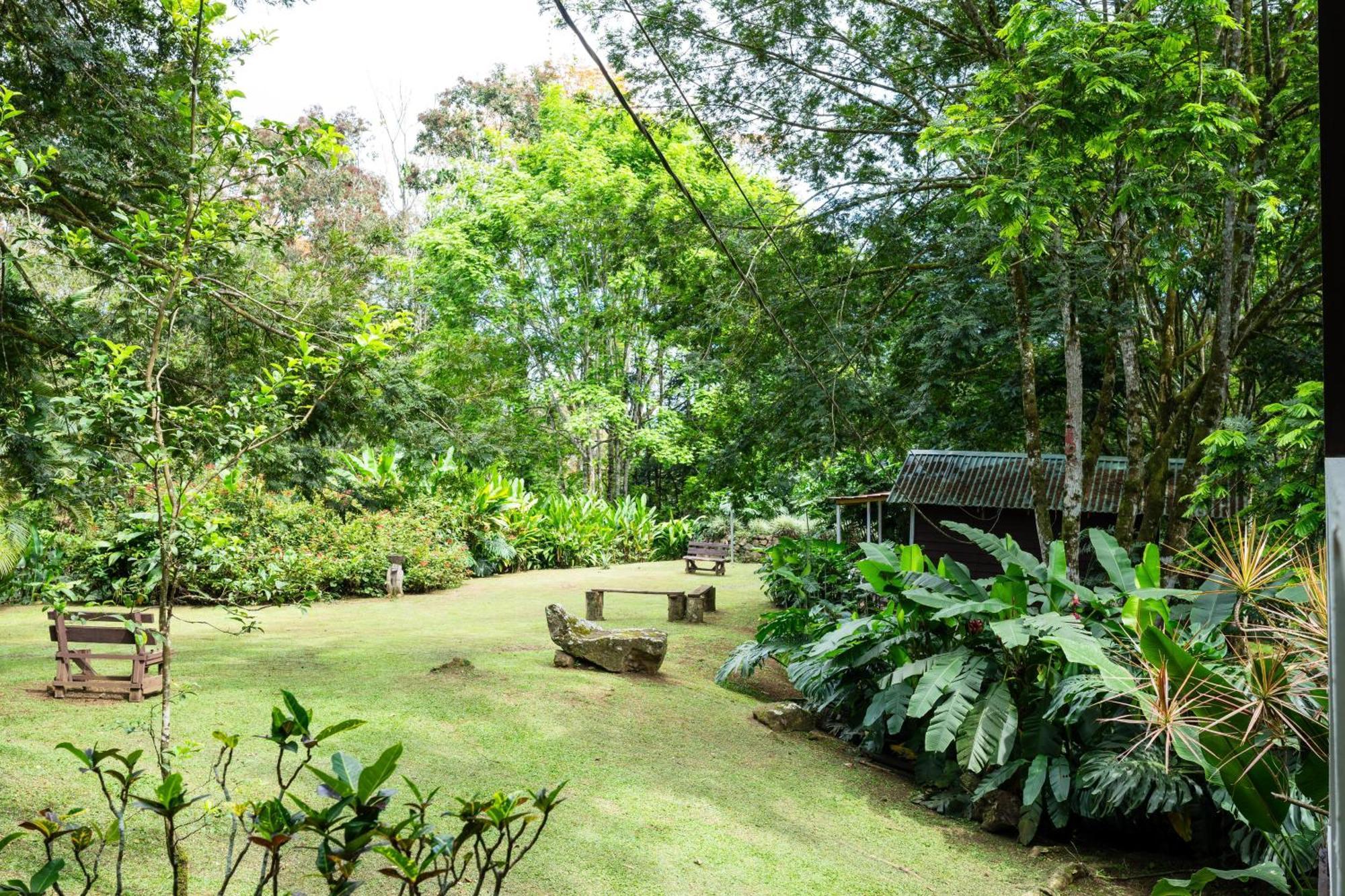 Hospedaje La Naciente Turrialba Exterior photo