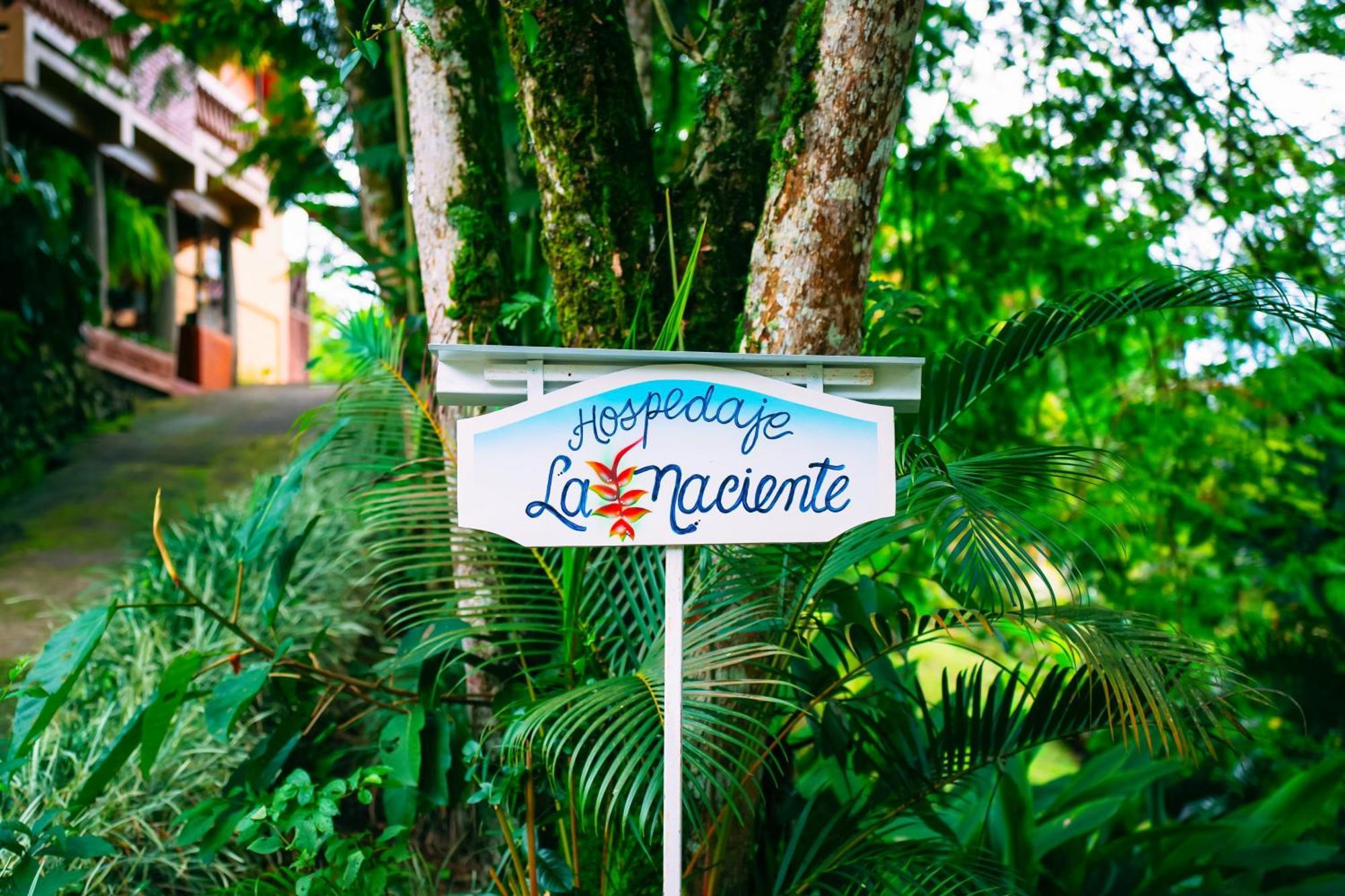 Hospedaje La Naciente Turrialba Exterior photo