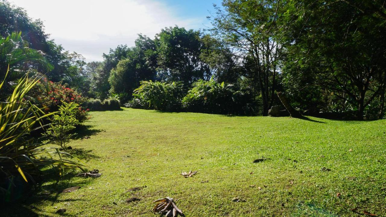 Hospedaje La Naciente Turrialba Exterior photo