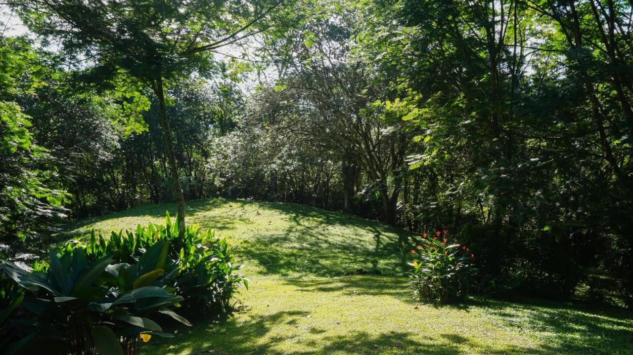 Hospedaje La Naciente Turrialba Exterior photo